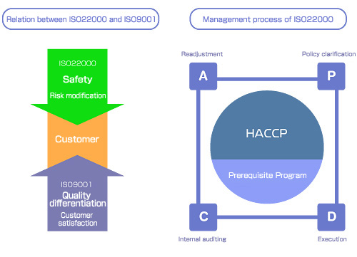 Haccp Plan Template Tutorial Picture